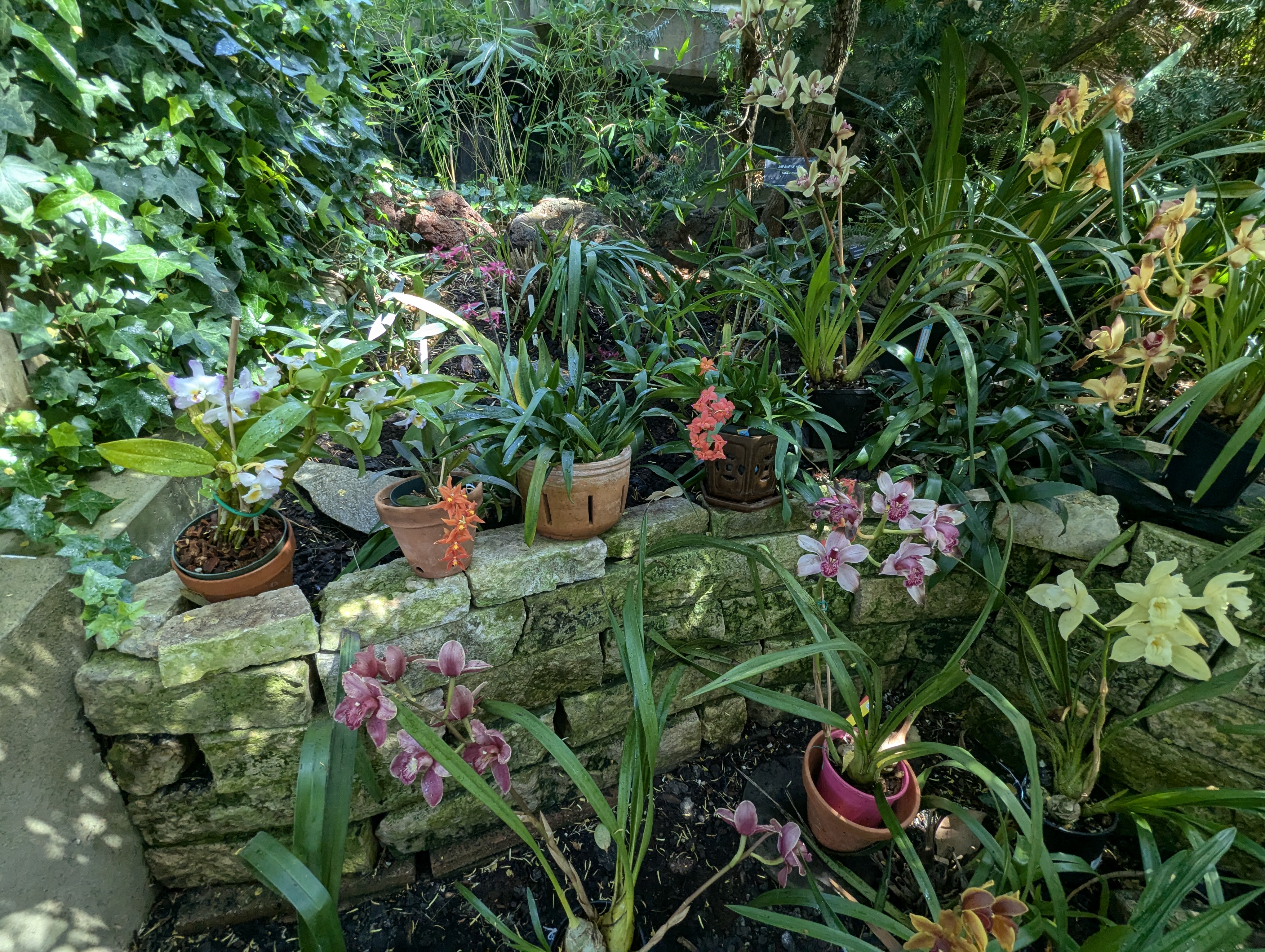 Birthday Trip to Canada, Edmonton, Pyramids, Muttart Observatory